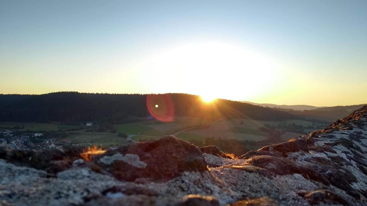 Ferienwohnung Pinzenhof - Kemnath Exteriör bild